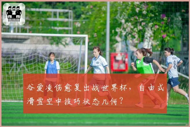 谷爱凌伤愈复出战世界杯，自由式滑雪空中技巧状态几何？
